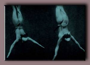 photo by Yoshiyuki Iwase