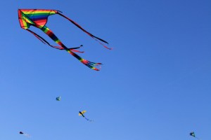 ?????????????????????????????????????????????????????????????????????????????