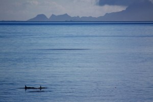 ??????????????????????????????????????????????????????????????????