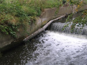 an eel pass