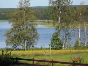 Me swimming (look carefully)