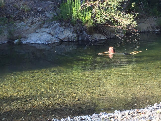 Felix swimming